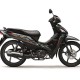 Wave DX110_Pearl Magellanic Black