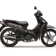Wave DX110_Pearl Magellanic Black