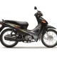Wave S110_Pearl Magellanic Black