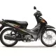 Wave S110_Pearl Magellanic Black