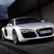 R8120051_large