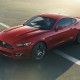 GoFurther-Mustang_07