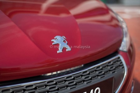 PEUGEOT 208 (15)