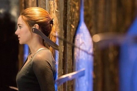 Divergent-mekanika (5)