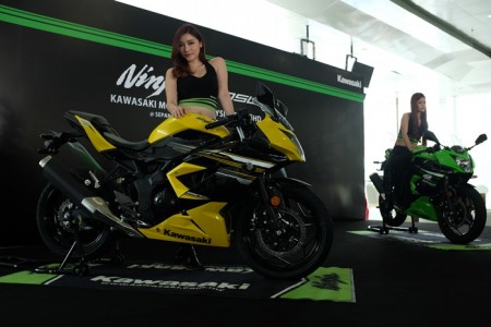 kawasaki-ninja-250SL-mekanika (12)