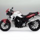 BMW-F-800-R-mekanika (18)