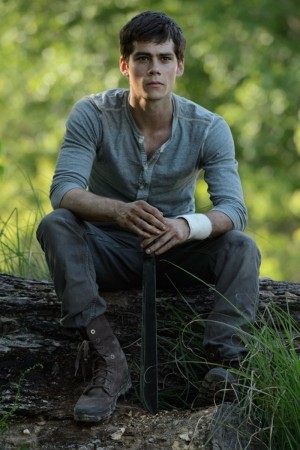 the-maze-runner-mekanika (4)
