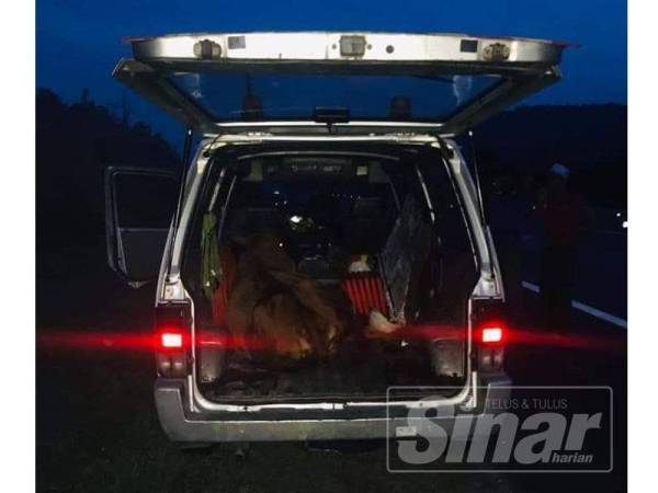 Pekerja Lpt2 Dipukul Kerana Disangka Pencuri Lembu Mekanika